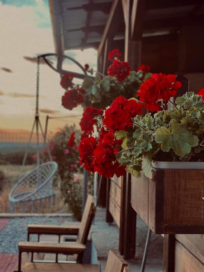فيلا Λωτοσ كافالا المظهر الخارجي الصورة